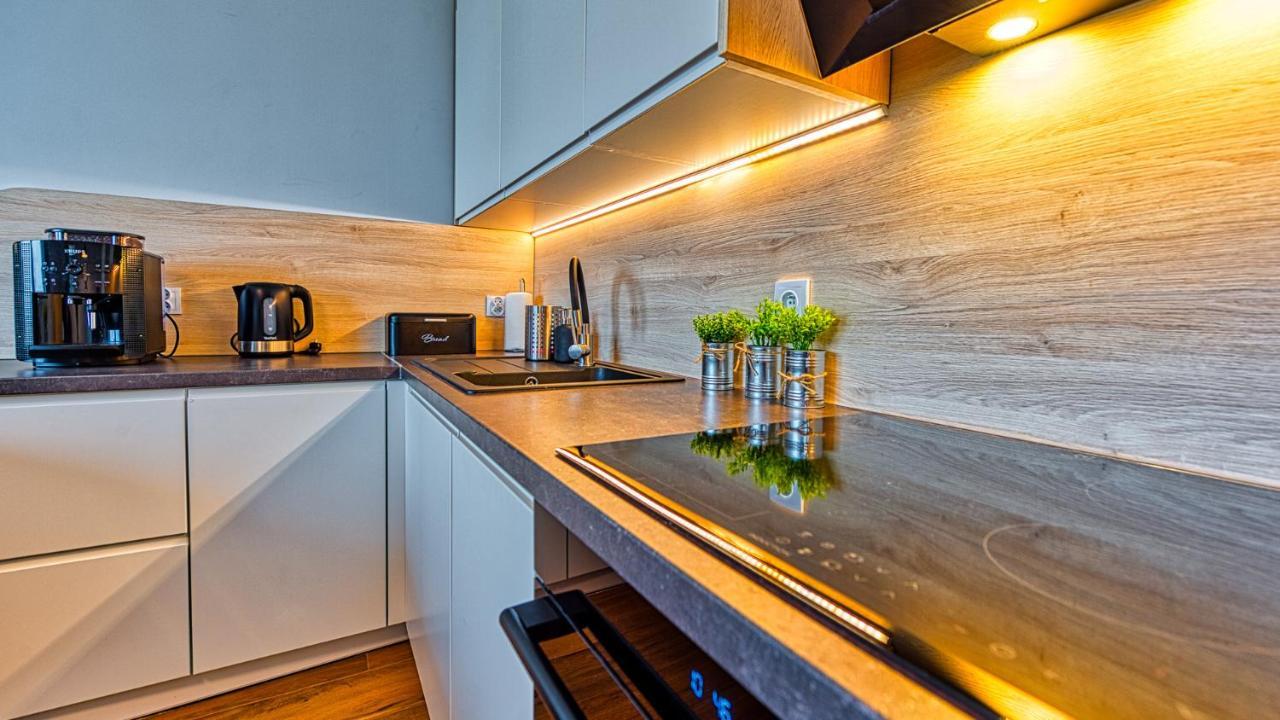 Apartament Pod Stogiem Izerskim - 5D Apartamenty Świeradów-Zdrój Εξωτερικό φωτογραφία